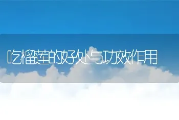 吃榴莲的好处与功效作用