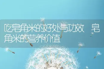 吃皂角米的好处与功效 皂角米的营养价值