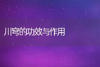 川穹的功效与作用