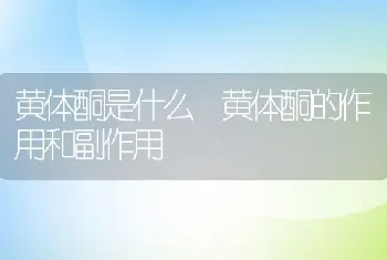 黄体酮是什么 黄体酮的作用和副作用