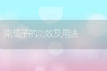 南瓜子的功效及用法