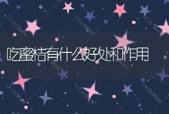 吃蜜桔有什么好处和作用