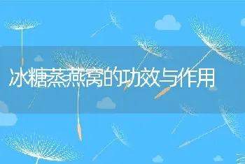 冰糖蒸燕窝的功效与作用