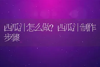 西瓜汁怎么做？西瓜汁制作步骤