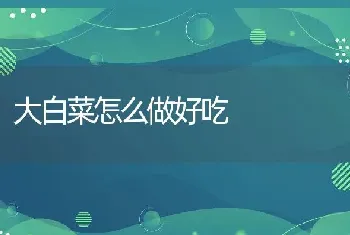 大白菜怎么做好吃