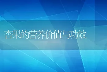 杏果的营养价值与功效