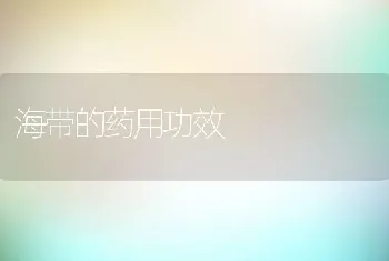 海带的药用功效