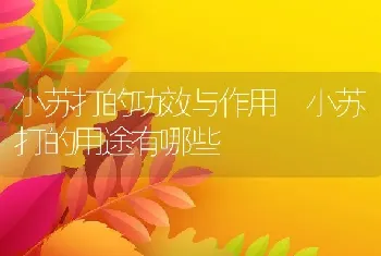 小苏打的功效与作用 小苏打的用途有哪些