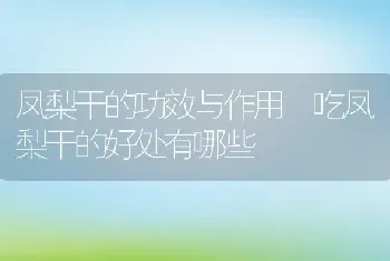 凤梨干的功效与作用 吃凤梨干的好处有哪些