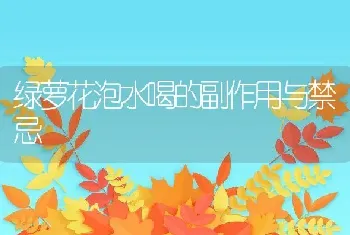 绿萝花泡水喝的副作用与禁忌