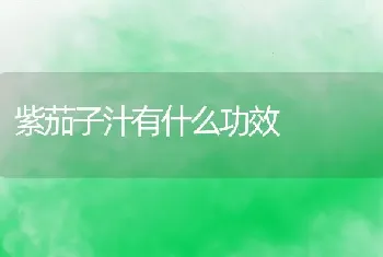 紫茄子汁有什么功效