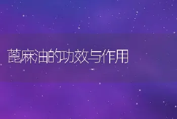 蓖麻油的功效与作用