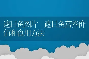 遮目鱼图片 遮目鱼营养价值和食用方法