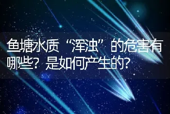 鱼塘水质“浑浊”的危害有哪些？是如何产生的？