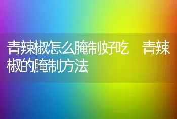 青辣椒怎么腌制好吃 青辣椒的腌制方法