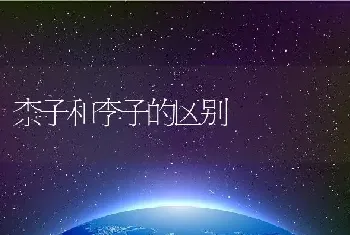 柰子和李子的区别