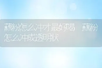 藕粉怎么冲才最好喝 藕粉怎么冲成透明状