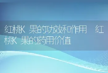 红桃K果的功效和作用 红桃K果的药用价值