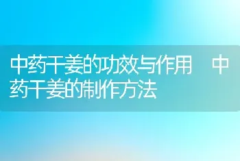 中药干姜的功效与作用 中药干姜的制作方法