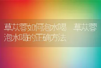 草苁蓉如何泡水喝 草苁蓉泡水喝的正确方法