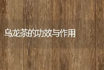 乌龙茶的功效与作用