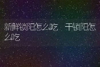 新鲜锁阳怎么吃 干锁阳怎么吃