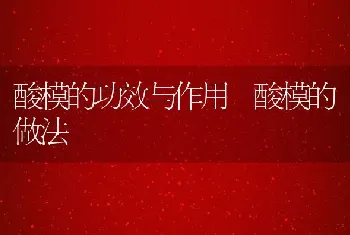 酸模的功效与作用 酸模的做法