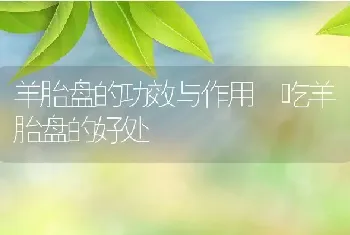 羊胎盘的功效与作用 吃羊胎盘的好处