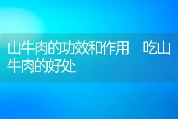 女人春季喝什么茶 春季养生茶有哪些