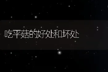 丹皮的功效与作用