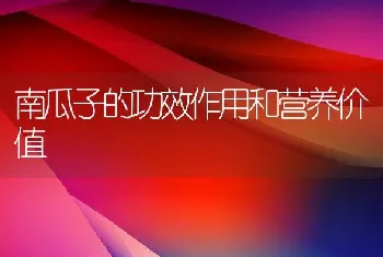 南瓜子的功效作用和营养价值