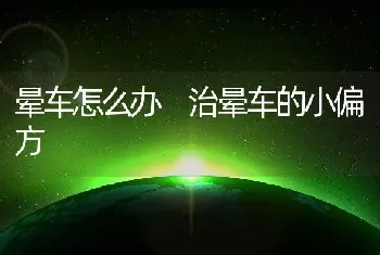 晕车怎么办 治晕车的小偏方