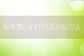 维生素e的作用及养颜方法