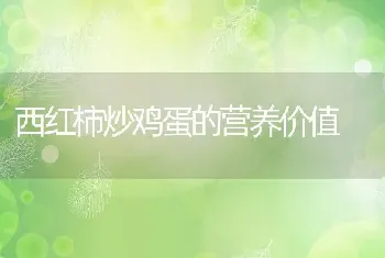 西红柿炒鸡蛋的营养价值