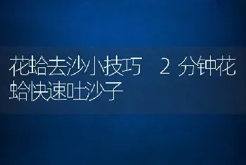 花蛤去沙小技巧 2分钟花蛤快速吐沙子