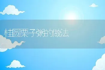 桂圆栗子粥的做法