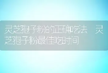 灵芝孢子粉的正确吃法 灵芝孢子粉最佳吃时间