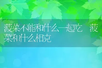 菠菜不能和什么一起吃 菠菜和什么相克