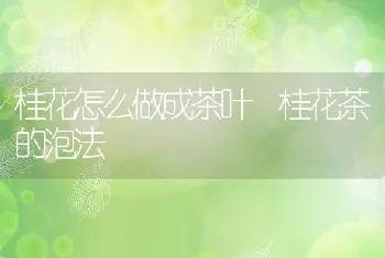 桂花怎么做成茶叶 桂花茶的泡法