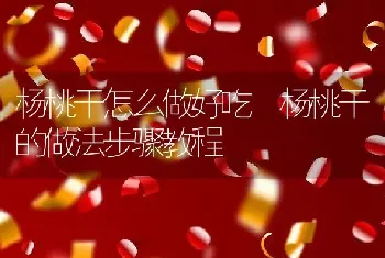 杨桃干怎么做好吃 杨桃干的做法步骤教程