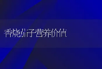 香烧茄子营养价值