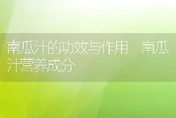 南瓜汁的功效与作用 南瓜汁营养成分