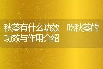 秋葵有什么功效 吃秋葵的功效与作用介绍