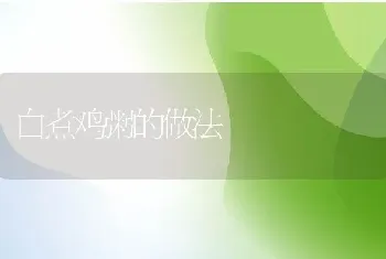 白煮鸡粥的做法