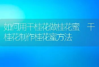 如何用干桂花做桂花蜜 干桂花制作桂花蜜方法