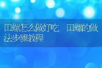 田螺怎么做好吃 田螺的做法步骤教程