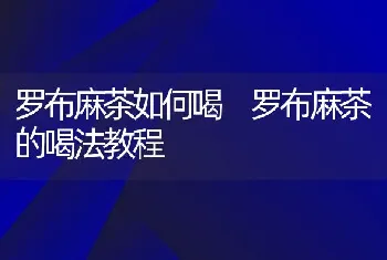 罗布麻茶如何喝 罗布麻茶的喝法教程