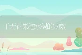 干无花果泡水喝的功效