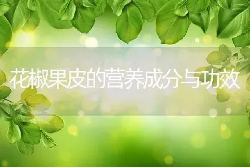 花椒果皮的营养成分与功效