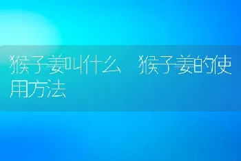 猴子姜叫什么 猴子姜的使用方法